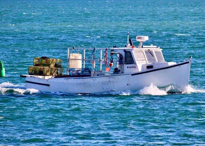 30' Atwood Novi Lobster Boat 1992 For Sale - John Deere 225 HP