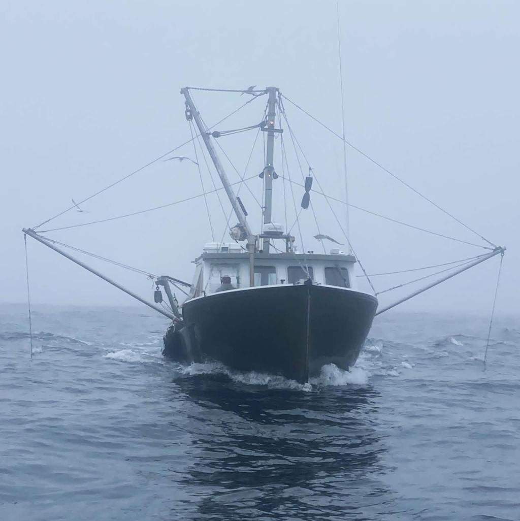 35' Dana Hunter Novi Scalloper 1995 For Sale - John Deere 265 HP