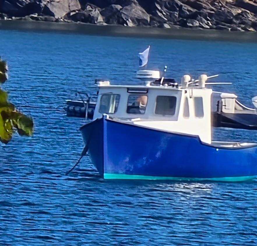 26' Alward Novi Lobster Boat 2003 For Sale - Volvo 130 HP